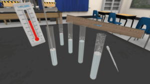 Enzyme Functionality